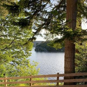 IMG-20240611-WA0137