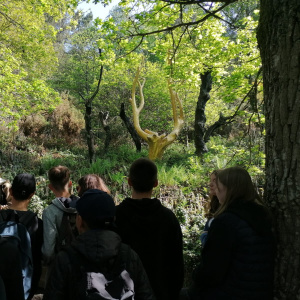 IMG-20220530-WA0013