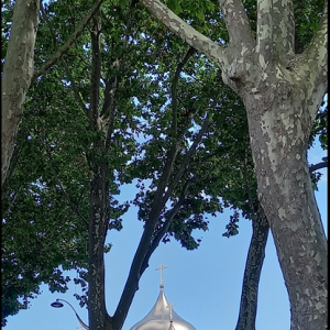 4APARIS7