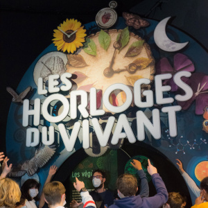 OUG_3063©Sylvain-Lefebvre