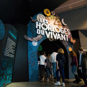 OUG_3160©Sylvain-Lefebvre