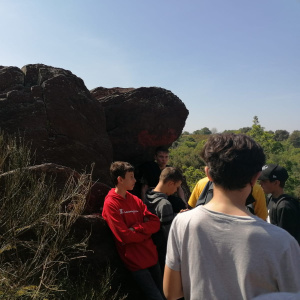IMG-20220530-WA0004