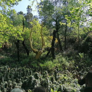 IMG-20220530-WA0021