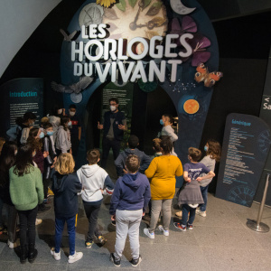 OUG_3033©Sylvain-Lefebvre